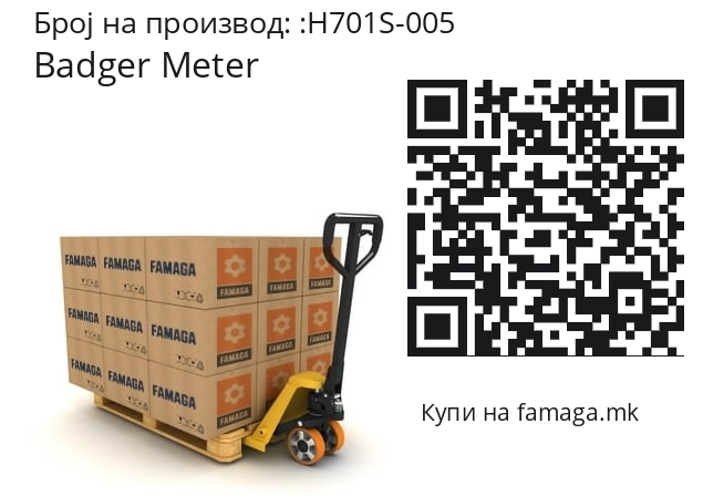   Badger Meter H701S-005
