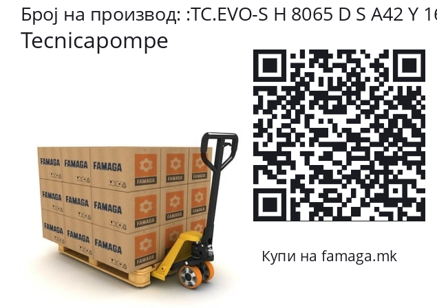   Tecnicapompe TC.EVO-S H 8065 D S A42 Y 160 15 2