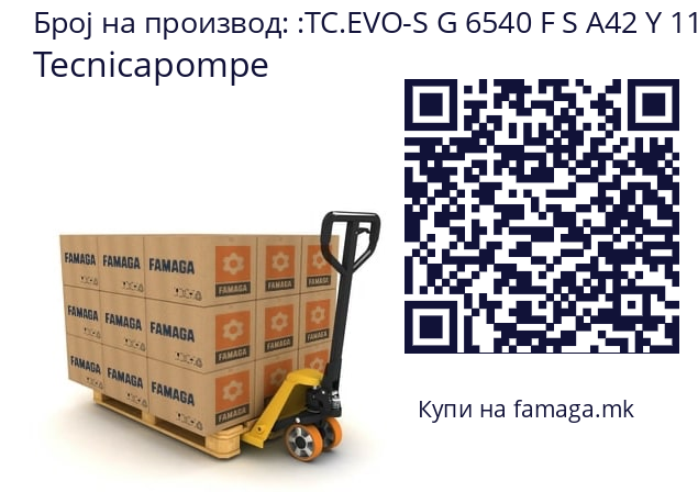   Tecnicapompe TC.EVO-S G 6540 F S A42 Y 112 5.5 2